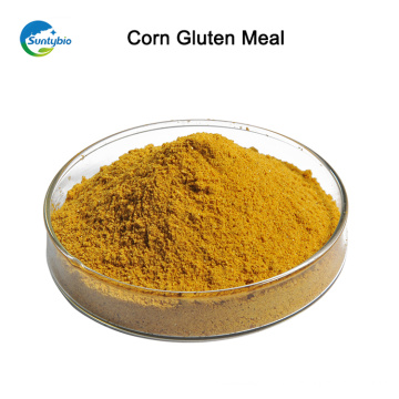 Non Admixture (%) Yellow Maize Bulk Sale Corn Gluten Meal Precio